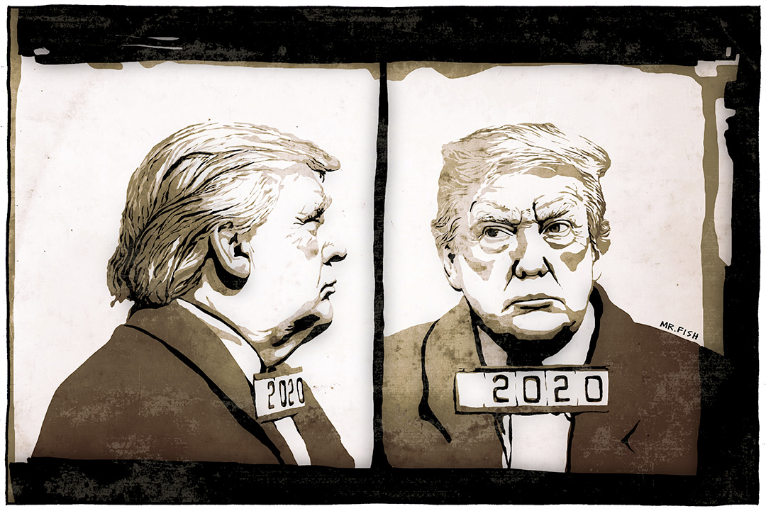 Trump 2020 - Mr. Fish